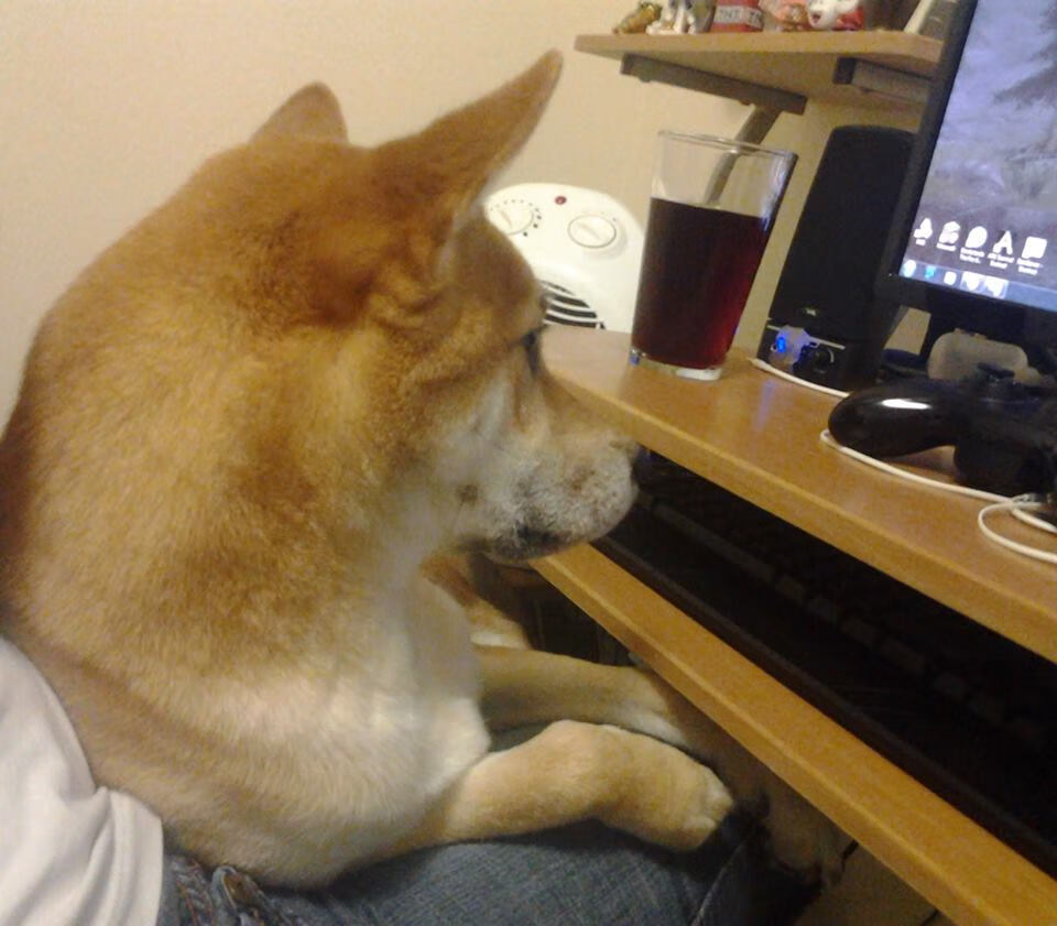 华体会网址-浓眉统治禁区，开拓者单节风暴击溃骑士