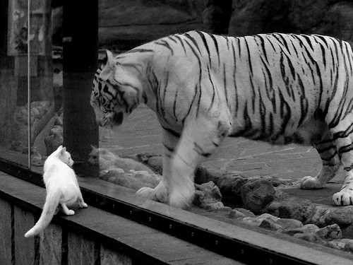 北欧黑马掀翻巴斯克雄狮,罗德里戈一锤定音