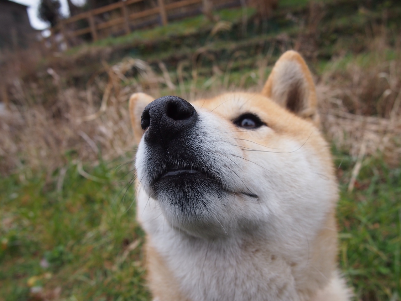 当奇才量子纠缠广东队,伦纳德如何成为攻防的时空奇点